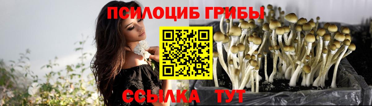 Галлюциногенные грибы ЛСД Елец
